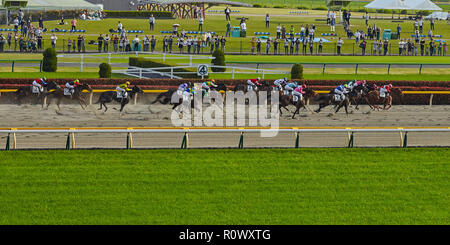 Tokio, Japan. April 2018 Tokyo Rennbahn. Vollblutpferde in Bewegung mit Jockeys an der Ziellinie der Rennen . Stockfoto