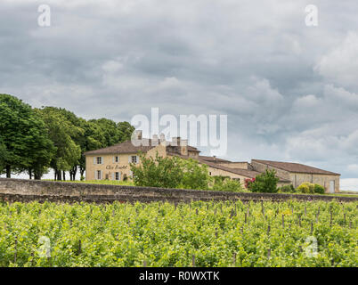 Weinberg am Stadtrand von St Emilion, Gironde, Nouvelle-Aquitaine, Frankreich Stockfoto