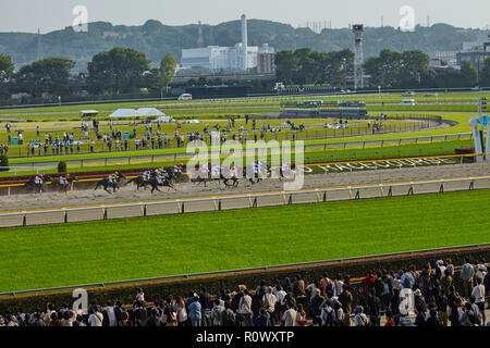 Tokio, Japan. April 2018 Tokyo Rennbahn. Vollblutpferde in Bewegung mit Jockeys an der Ziellinie der Rennen . Stockfoto