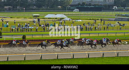 Tokio, Japan. April 2018 Tokyo Rennbahn. Vollblutpferde in Bewegung mit Jockeys an der Ziellinie der Rennen . Stockfoto