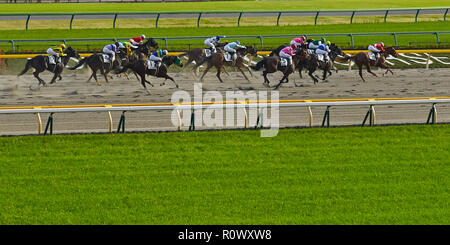 Tokio, Japan. April 2018 Tokyo Rennbahn. Vollblutpferde in Bewegung mit Jockeys an der Ziellinie der Rennen . Stockfoto