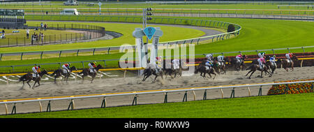 Tokio, Japan. April 2018 Tokyo Rennbahn. Vollblutpferde in Bewegung mit Jockeys an der Ziellinie der Rennen . Stockfoto