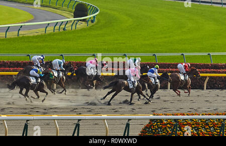 Tokio, Japan. April 2018 Tokyo Rennbahn. Vollblutpferde in Bewegung mit Jockeys an der Ziellinie der Rennen . Stockfoto