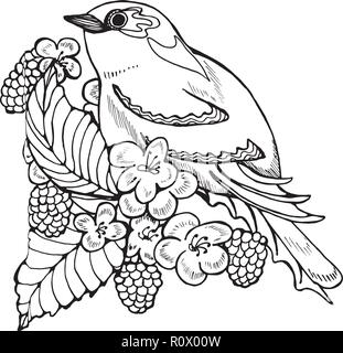 Abbildung: ein Vogel auf einem Ast mit Blättern und Beeren. Schöner Vogel. Stock Vektor