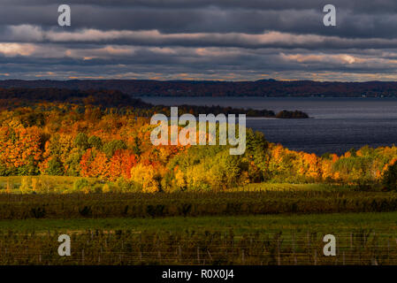 Sonne bricht durch die Wolken an einem Herbsttag Beleuchtung auf den Baum Farben und die Weinberge an Old Mission Peninsula im Herbst. Stockfoto