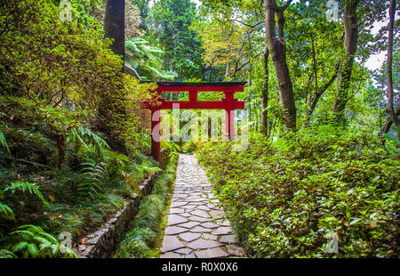 Torii in Tropican Garten Monte Palace in Funchal, Madeira, Portugal Stockfoto