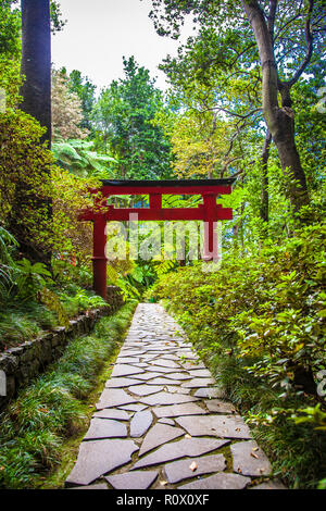 Torii in Tropican Garten Monte Palace in Funchal, Madeira, Portugal Stockfoto