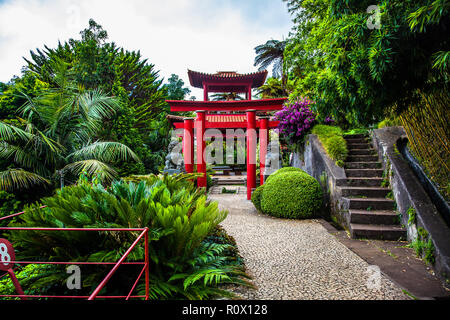 Torii in Tropican Garten Monte Palace in Funchal, Madeira, Portugal Stockfoto