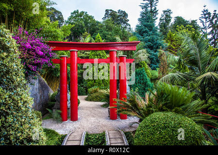 Torii in Tropican Garten Monte Palace in Funchal, Madeira, Portugal Stockfoto