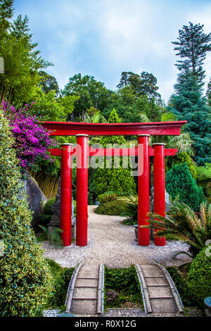 Torii in Tropican Garten Monte Palace in Funchal, Madeira, Portugal Stockfoto