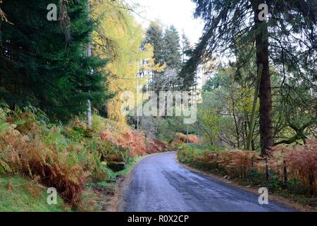 Country Road kurvenreiche Straße durch Elan Valley im Herbst Rhayader Wales Cymru Großbritannien Stockfoto