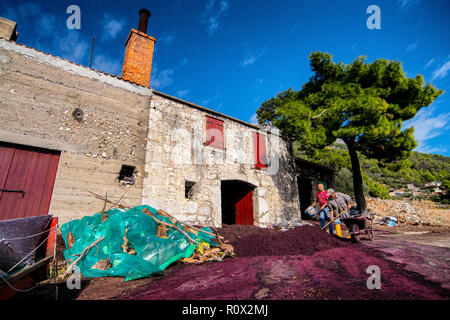 Grappa Produktion im Dorf Sveta Nedilja auf der Insel Hvar, Kroatien. Trester - links über der Weinbereitung nach Drücken der Traube. Stockfoto