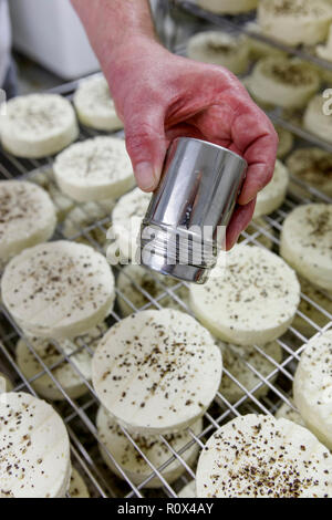 Fertigung von kleinen Runden von Frischkäse Nr. 2 Stockfoto