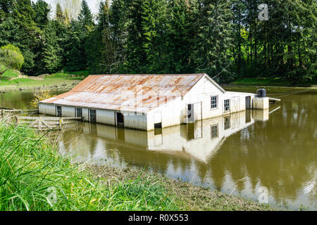 Überflutet Betriebsgebäude mit Wasser umgeben, nach dem Regen. Stockfoto