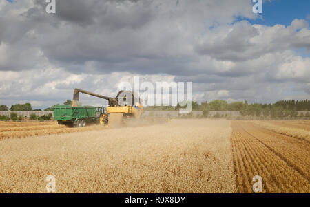 Moderne Maschinen Ernten ein Feld von Hafer auf einem hellen sonnigen Morgen im Sommer am 10. August 2018 in Beverley, Yorkshire, Großbritannien. Stockfoto