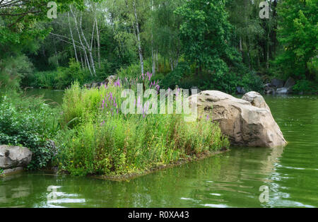 Kleine felsige Insel in einem See mit Blumen und Gras. Sommer sonnigen Tag. Stockfoto