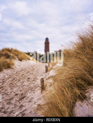 Weg zum Leuchtturm Darßer Ort an der Ostsee. Deutschland Stockfoto