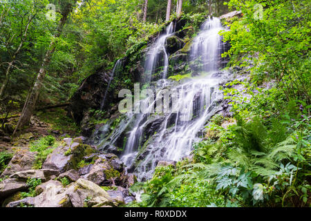 Deutschland, Urlaubsziel Zweribach Wasserfall im Schwarzwald Stockfoto