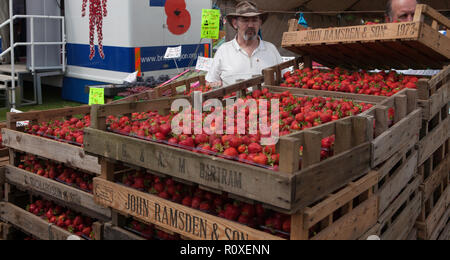 Festlegung der Fächer von Erdbeeren bereit für den Verkauf an die Besucher der großen Yorkshire zeigen Stockfoto