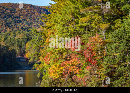 Herbst Laub an Unicoi State Park in Helen, Georgia. (USA) Stockfoto