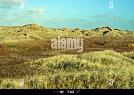 Aberffraw Dünen an der Südküste von Anglesey ist eines der größten Sanddüne Systeme in Großbritannien. Stockfoto