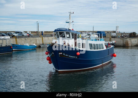 Frohe Botschaft Kreuzfahrtschiff für die Farne Islands, Dock, Nevsehir Nevsehir Harbour Village, Northumberland, Großbritannien Stockfoto