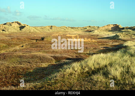 Aberffraw Dünen an der Südküste von Anglesey ist eines der größten Sanddüne Systeme in Großbritannien. Stockfoto