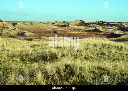 Aberffraw Dünen an der Südküste von Anglesey ist eines der größten Sanddüne Systeme in Großbritannien. Stockfoto