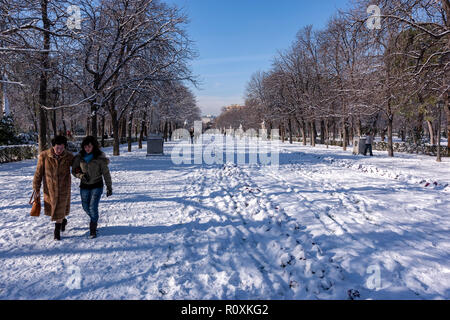 Paseo de Las Estatuas, Parque del Retiro mit Schnee im Winter, Tag, Madrid, Spanien Stockfoto