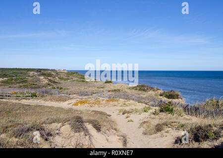 Malerischen Dünen- und Meerblick bei Marconi Station Cape Cod National Seashore in Wellfleet, Massachusetts, USA Stockfoto