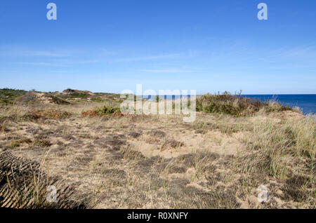 Die malerische Landschaft mit Sanddünen, Vegetation und Meer hinaus an Marconi Station, Cape Cod National Seashore in Wellfleet, Massachusetts, USA Stockfoto