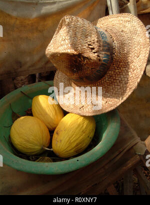 Der zerschlagene Strohhut eines spanischen Gärtners liegt in seinem Garten neben einer grünen Schale mit drei gelben Melonen, Menorca, Spanien Stockfoto
