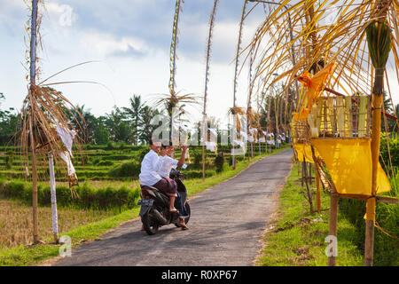 Bali, Indonesien - Mai 30, 2018: Zwei junge Männer in traditionellen Kostümen Fahrt auf dem Motorrad zu Dorf Tempel für religiöses Fest. Die Straße zwischen Reis Stockfoto