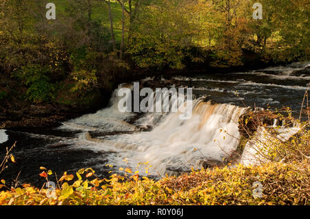 Aysgarth fallen in den Yorkshire Dales National Park Stockfoto