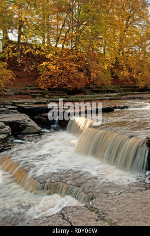 Aysgarth fallen in den Yorkshire Dales National Park Stockfoto