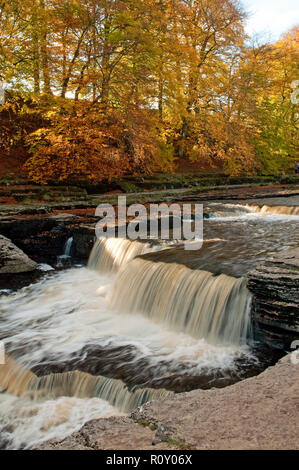 Aysgarth fallen in den Yorkshire Dales National Park Stockfoto