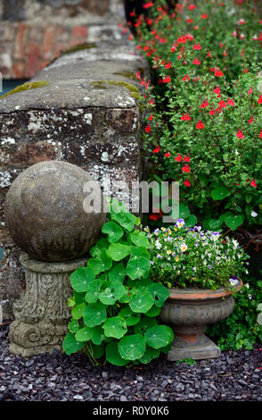 Stiefmütterchen, salvia Hotlips, Topf, Töpfe, Behälter, Container, Terrakotta, Urne, Urnen, Garten, RM Floral Stockfoto