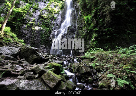 Eine von Deutschlands höchsten frei fallenden Wasserfälle, die burgbachbrunnen Wasserfall im Schwarzwald Stockfoto