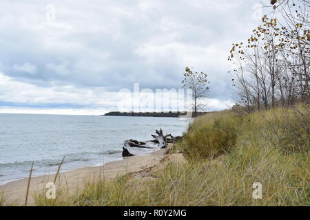 Treibholz am Strand, am Hafen Crescent State Park. Der Park ist im Mittleren Westen der Staat Michigan. An den Ufern des Lake Huron. Große Seen. Stockfoto