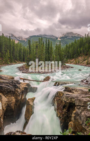 Sunwapta Fall ist ein spektakulärer Wasserfall der Sunwapta River im Jasper National Park, Alberta, Kanada. Stockfoto