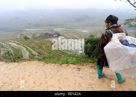 Frau trägt ihre Last auf ihrem Rücken entlang einer schlammigen Pfad oberhalb der misty Reisfelder von Sapa, Vietnam Stockfoto