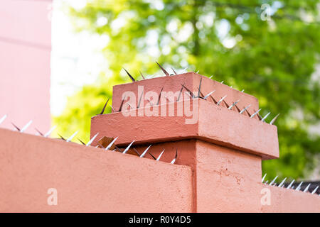 Nahaufnahme von Stacheldraht scharfe Metall Dornen auf rosa Zaun Haus für Schutz, Sicherheit Stockfoto