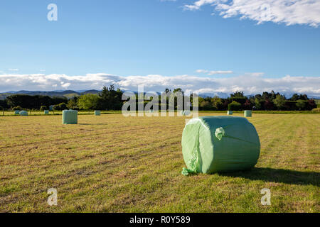 Neu gewickelten Ballen von Winter feed sitzen in einer Farm in Neuseeland Stockfoto