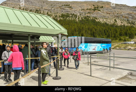 COLUMBIA ICEFIELD, Alberta, Kanada - Juni 2018: Menschen, die darauf warteten, mit dem Shuttlebus von der Columbia Icefield Visitor Center abzuweichen die Athaba zu besuchen Stockfoto