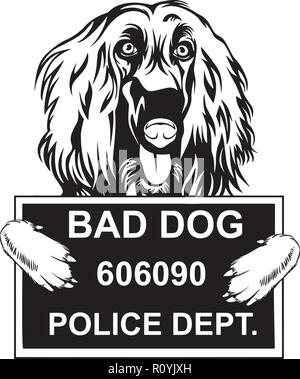 Afghan Hound Hunderasse Kopf isoliert Pedigree Pet Portrait Lächeln glücklich Welpen Gesicht Animal Cartoon Illustration Portrait Kunst Kunstwerk niedliche Design Stock Vektor