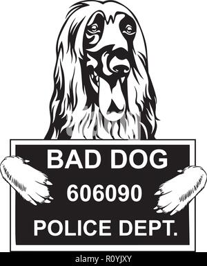 Afghan Hound Hunderasse Kopf isoliert Pedigree Pet Portrait Lächeln glücklich Welpen Gesicht Animal Cartoon Illustration Portrait Kunst Kunstwerk niedliche Design Stock Vektor