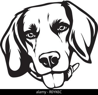 Beagle Hunderasse Kopf isoliert Pedigree Pet Portrait Lächeln glücklich Welpen Gesicht Animal Cartoon Illustration Portrait Kunst Kunstwerk niedliche Design Stock Vektor