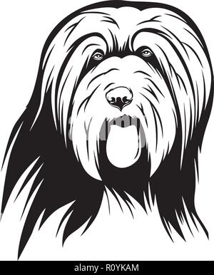 Bearded Collie Hund Rasse Kopf isoliert Pedigree Pet Portrait Lächeln glücklich Welpen Gesicht Animal Cartoon Illustration Portrait Kunst Kunstwerk niedliche Design Stock Vektor