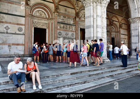 Eingang Treppe an der Kathedrale von Lucca, Kathedrale San Martino. Lucca, Provinz Lucca, Toskana, Italien, Europa Stockfoto