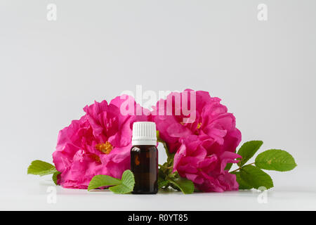 Dunkle Durchstechflasche aus Glas mit Rose ätherisches Öl und Blume rosa Rose Stockfoto
